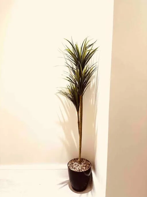Cozy Apartment Riyadh 0*,  Saudi Arabia